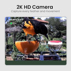 smart bird feeder with camera solar powered, 2k shown in use