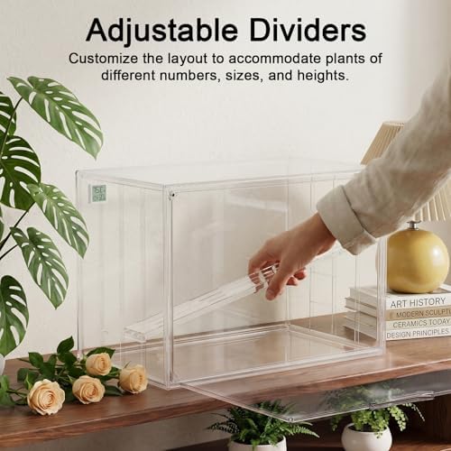 clear mini indoor greenhouse, with hygrometer and grow showing dimensions
