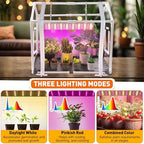 meonum mini greenhouse with grow light, 23.6" l showing dimensions