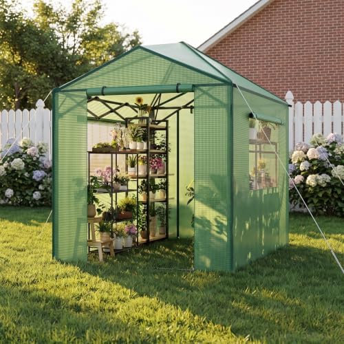 8x6 ft pop up greenhouse for outdoors shown in use