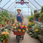 10x10 ft greenhouse for outdoors, heavy-duty polycarbonate greenhouse on a desk or shelf