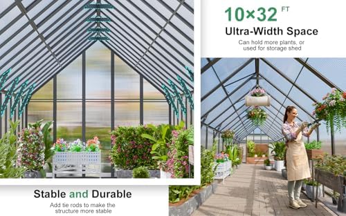 cdcasa 32x10x10 ft polycarbonate greenhouse for outdoors w/7, side view