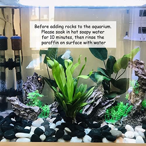 FANTIAN 10 lbs Pebbles for Landscaping, 1-2 Inch Black Rocks for Plants | Polished River Rocks Stone for Plant Indoor, Vase, Aquarium, Garden, Fountain, Outdoor, Planter Filler for Artificial Plants