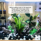 FANTIAN 10 lbs Pebbles for Landscaping, 1-2 Inch Black Rocks for Plants | Polished River Rocks Stone for Plant Indoor, Vase, Aquarium, Garden, Fountain, Outdoor, Planter Filler for Artificial Plants