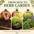 gardeners basics 35 medicinal herb seeds variety pack on a desk or shelf