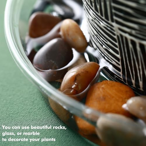 Plant Saucer 20 Pack Plant Trays for Pots 4 Inch Plastic Plant Saucers for Outdoors and Indoors Clear Drip Trays for Potted Plants Flower Pot Plates to Catch Water Plant Drainage Dishes No Holes