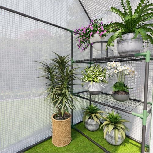 small greenhouse for outdoors, walk-in plant greenhouse with, front angle view