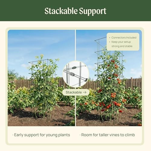 vego garden tomato cage 16.5" square heavy-duty for on a desk or shelf