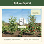 vego garden tomato cage 16.5" square heavy-duty for on a desk or shelf