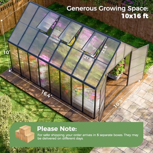 wacasa 16x10x10 ft large greenhouse with aluminum frame shown in use
