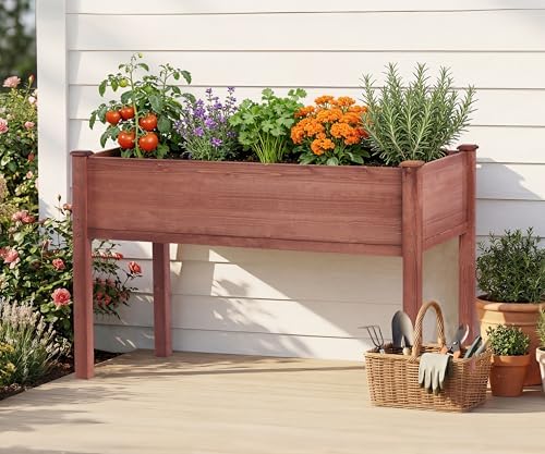 soliwood set of 2 raised garden bed with on a desk or shelf