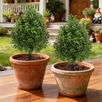 bdor 22" artificial boxwood topiary bushes ball trees, front angle view