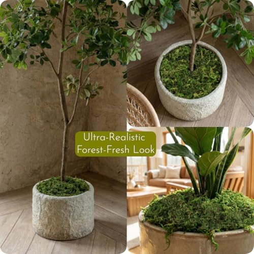 32oz large capacity artificial moss - bulk fake, side view