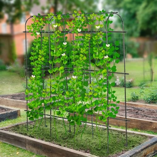 garden cucumber trellis large 6ft tall metal trellis on a desk or shelf