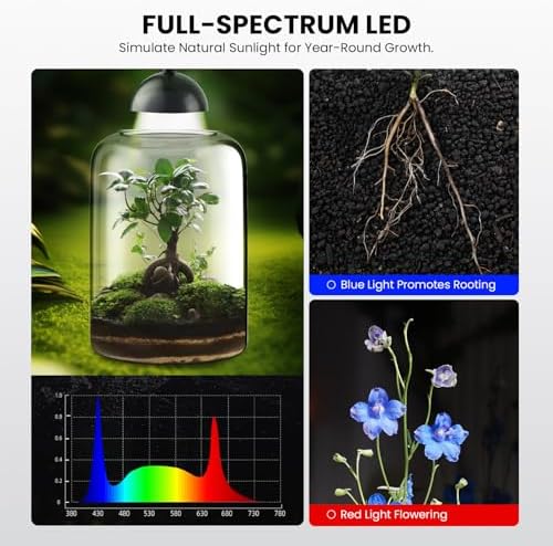 glass plant terrarium, led grow light, adjustable ventilation, package contents