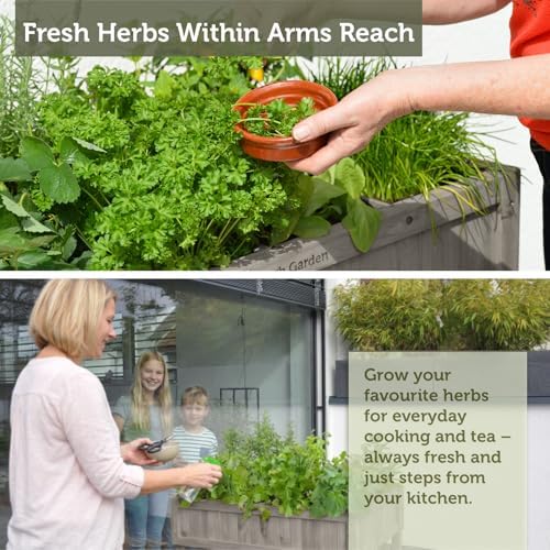 vegtrug 8 pocket herb garden, wooden herb planter on a desk or shelf