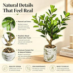20.5 inch artificial ficus tree in cement pot, close-up detail