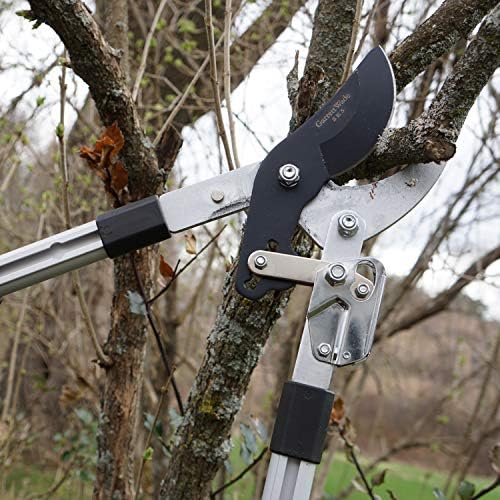 kings county tools tree trimmer loppers with 26" shown in use