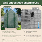 small greenhouse for outdoors, walk-in plant greenhouse with on a desk or shelf