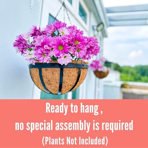 lalagreen round hanging baskets (14 in, 4 pack) showing dimensions