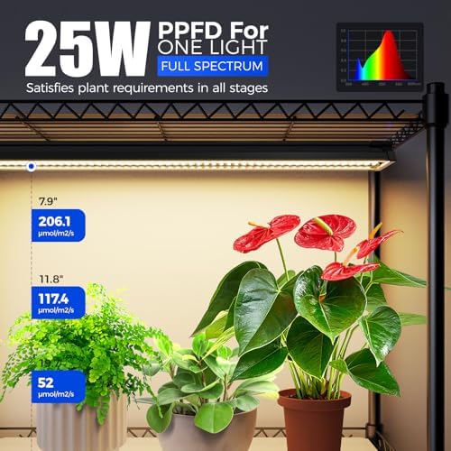 barrina cx91z indoor greenhouse with grow lights 5-tier showing dimensions