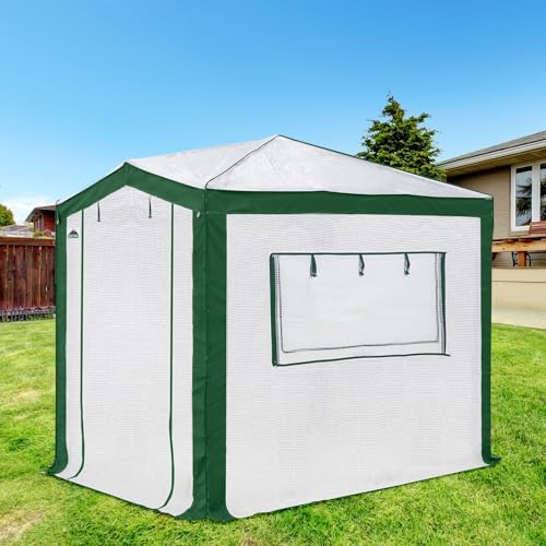 eagle peak 8x6 walk in pop up greenhouse on a desk or shelf