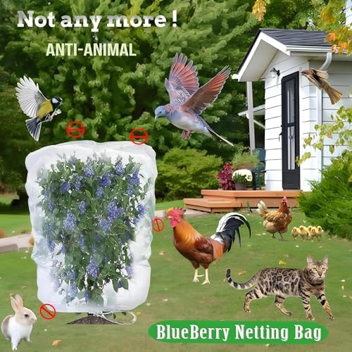 fruit tree netting with drawstring, 6 pack 5x5.3 shown in use
