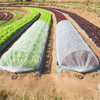 18 x 118 inch mesh garden greenhouse tunnel on a desk or shelf
