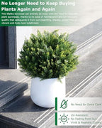 27.6'' artificial cedar topiary trees with spikes, set, front angle view