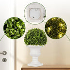artificial boxwood topiary plants with vase, artificial boxwood, close-up detail