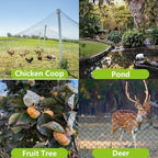 50x50ft bird netting for chicken coop, 1" mesh on a desk or shelf