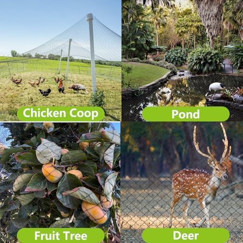 50x50ft bird netting for chicken coop, 1" mesh on a desk or shelf