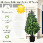artificial potted plants boxwood topiary trees outdoor indoor, close-up detail