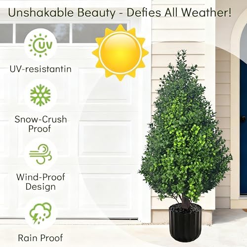 artificial potted plants boxwood topiary trees outdoor indoor, close-up detail