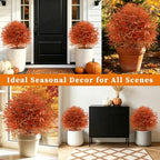 yangrass 2 pack fall artificial cedar topiary balls, package contents