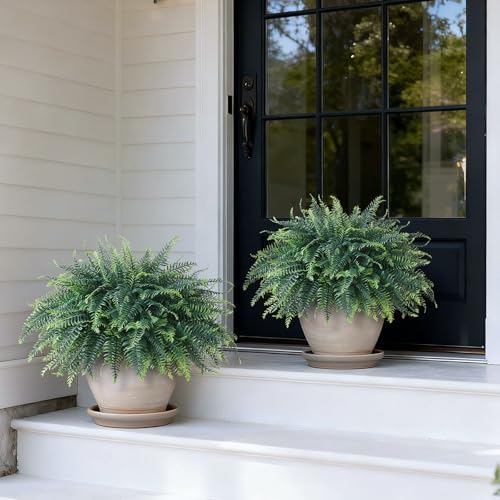 2 sets artificial ferns topiary ball trees for, side view