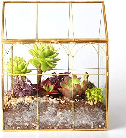 glass geometric plant terrarium,succulent & air planter for, main product view