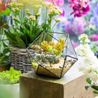 ncyp opened geometric glass terrarium, 6.69" bowl shape, front angle view