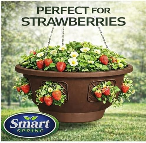 ultimate hanging baskets - strawberry, tomato, flower, and, side view