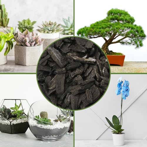 soil sunrise horticultural charcoal for indoor plants (12, package contents