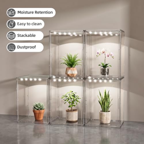 joyzan clear mini indoor greenhouse small tabletop green, close-up detail
