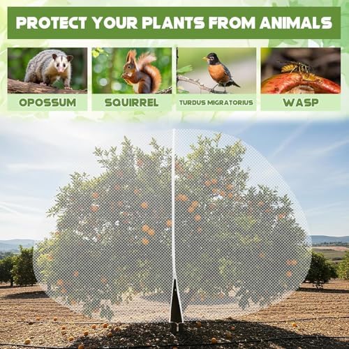 20ft x 20ft extra large fruit tree netting, side view
