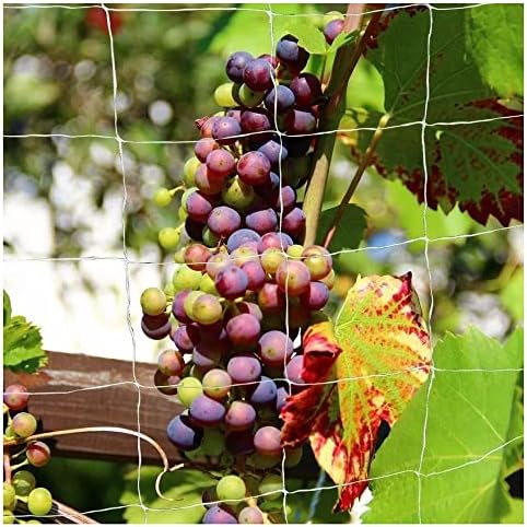 plant trellis netting 5 * 30ft 3.5 mesh, side view