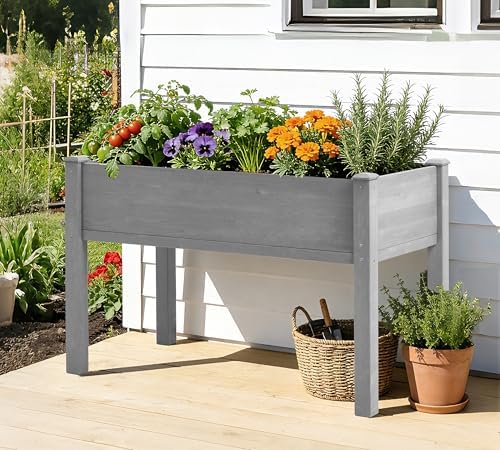 raised garden bed with legs, 48×24×30 cedar wood shown in use