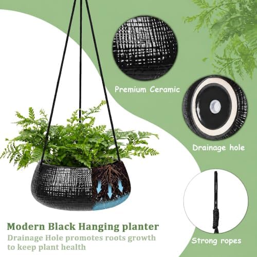 hanging planter for indoor plant 8 in, ceramic, close-up detail