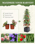 raised garden bed planter box with trellis, 57", package contents