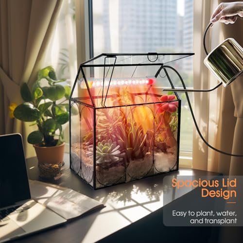 rifny plant terrarium with grow light, glass terrarium, package contents