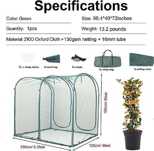 poray large tunnel 8.2'x4' plant netting cover, 6ft shown in use