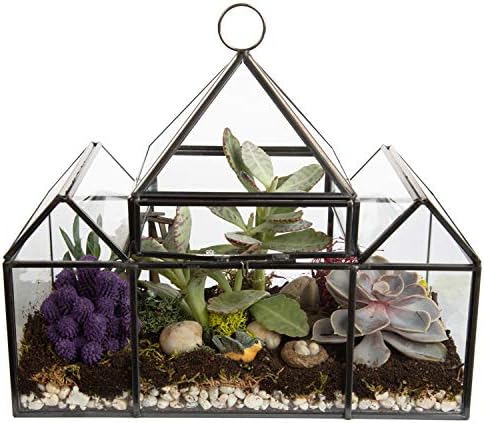 d'eco glass castle plant terrarium, centerpiece & wedding, main product view