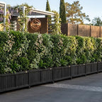 natrahedge (44" lx 15" w x 15" h shown in use